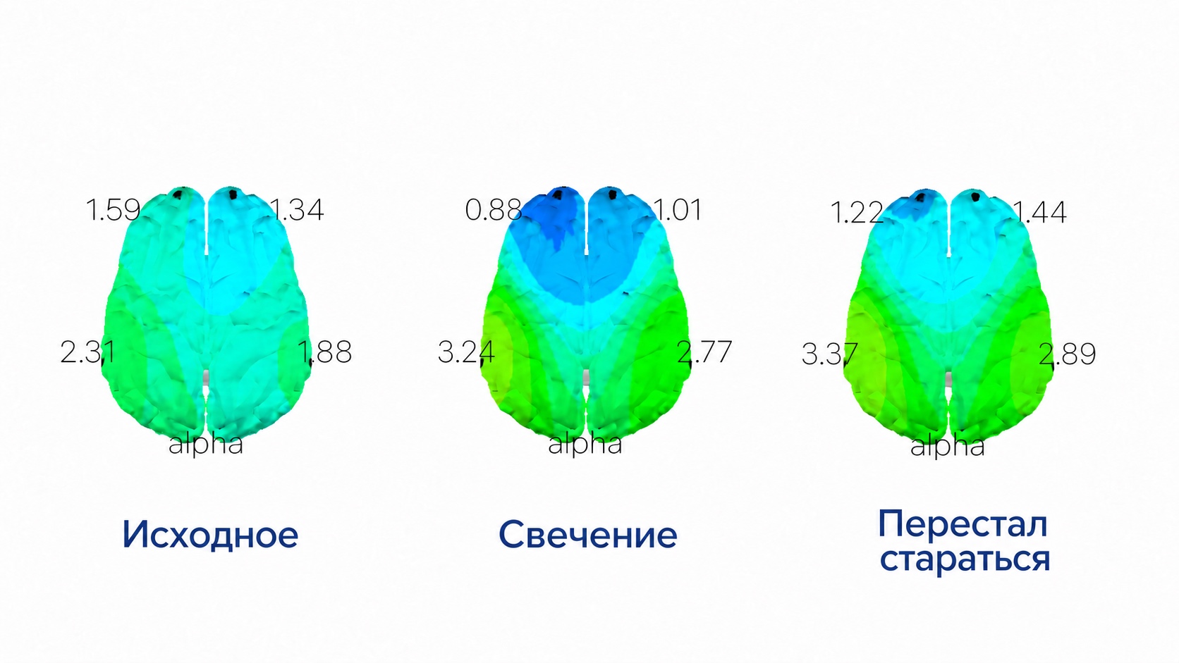 В своей лекции я иллюстрирую эту мысль сопоставлением записей активности мозга. Это демонстрация из моей системы: без полного протокола и контрольных условий она не доказывает универсальную эффективность техники и не предсказывает твой результат.